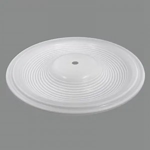 [Hot Item] Aodd Pump Spare Parts Repair Kit 15-1010-55 PTFE Diaphragm for Wilden Pump