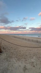 1K views · 182 reactions | Turtle Beach Cafe on Reels | Facebook