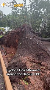 3.2K views · 12 reactions | A TikTok video has gone viral after...