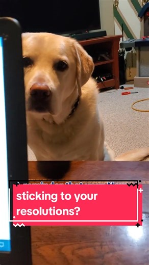 Pawsitively Fit Canine Rehab on TikTok