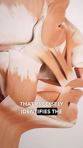 Learn Chairside Techniques To Treat Head, Neck, And TMJ Pain In Your Practice. (No cost training) 🎯 Learn The Chairside Muscle Exam Protocol - that precisely identifies the location and degree of oro-facial pain so you can predictably treat pain patients in your practice. 🎯 Learn 4 Unique Pain Relief Therapies- that are easy to administer and show results before the patient leaves your chair. 🎯 How to Treatment Plan Lasting Pain Relief- to keep your patients pain free even if they're struggli