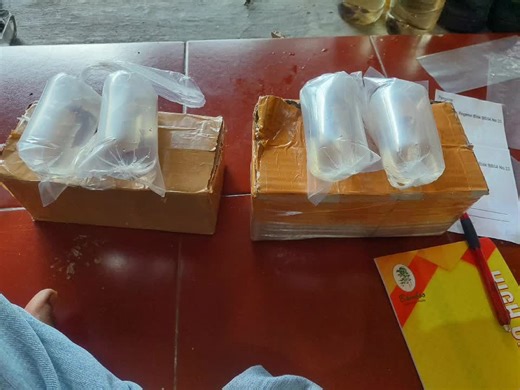 betta.bolang on TikTok