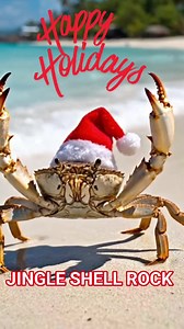 266K views · 3.9K reactions | 'Tis not the season to be crabby... says Mr Sandy Claws. #coastalpassion #beachchristmas #WhiteChristmas2025 | Coastal Passion | Facebook