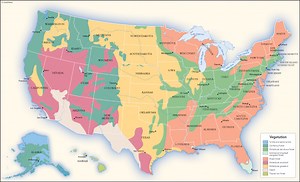 vegetation maps