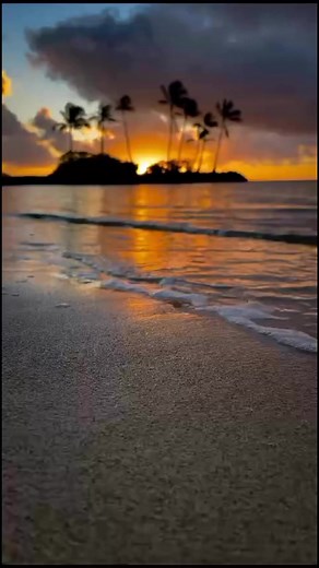 Buenas noches | Noche Fenomenal