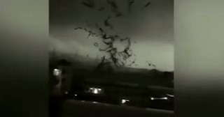 Cận cảnh lốc xoáy gây hàng chục thương vong ở Quảng Châu, Trung Quốc