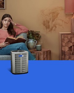 58 reactions · 16 shares | Your customers aren’t just homeowners. They’re also “water stain that may or may not be a mythical creature” owners. | American Standard Heating & Air Conditioning | Facebook