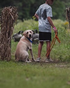 25 reactions | Game Fair is for kids of all ages! Remember that Fridays are Family Days so kids are FREE with a paid adult admission. www.gamefair.com | Game Fair | Facebook