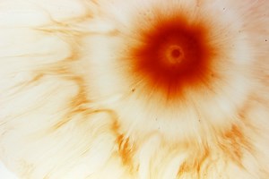 What are landslides mudflows slump and creep caused by? - TimesMojo