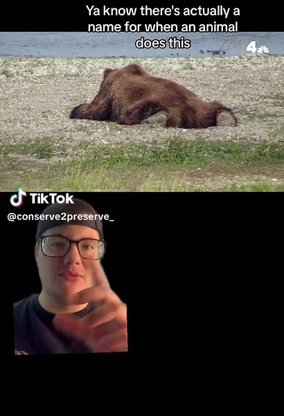 conserve2preserve on TikTok