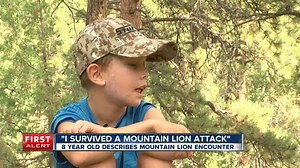 VIDEO: "I survived a mountain lion attack," said 8-year-old Pike Carlson with a smile. His dad cries every time he talks about the moment he saw his son's head in the bit cat's mouth. | Jaclyn Allen Denver7