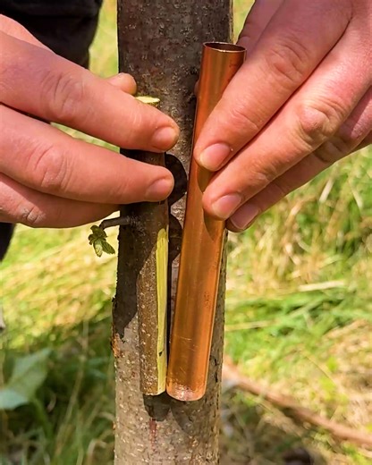 Copper tube grafting trick | Between the Hammer
