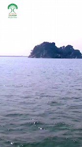 The Vikramshila Gangetic Dolphin Sanctuary in Bhagalpur, Bihar, is an ideal location to spot the Gangetic dolphins and a haven for these magnificent creatures. . . . #vikramshiladolphinsanctuary #gangeticdolphins #dolphinsanctuary #dolphins #nationalaquaticanimal #bhagalpur #ganga #bihar #explore #bihartourism #aquaticanimals #biodiversity #conservation #sanctuary #travelandtourism #vikramshila #ecocircuit #dekhoapnadesh #ExploreBihar #TravelBihar #IncredibleIndia | Department of Tourism, Govern