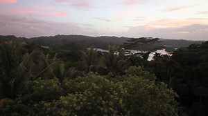 Lush Rainforest That Covers Republic Palau Stock Footage Video (100% Royalty-free) 3458756 | Shutterstock
