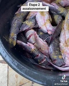 #auryfish #aquaculture #pisciculture #poissons #alevins #investiraucameroun #videos #silures #delaproductionalatransformation | Auryfish