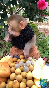 17K views · 423 reactions | So cute | Natural World | Facebook