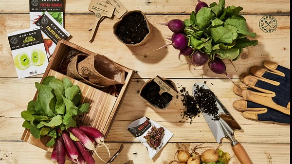 Indoor Garden Vegetable Seed Starter Kit - Rainbow Salad Grow Kit, Non GMO Heirloom Seeds for Planting, Wood Planter Box, Soil, Pots, Plant Markers, DIY Home Gardening Gifts for Plant Lovers
