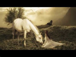 Judie Tzuke ... For You ...