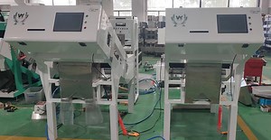 [Hot Item] Mini Low Speed Belt Color Sorter for Fresh Green Blue Blueberry Separation Fresh Blueberry Optical Machine