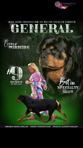 GENERAL BISS GCHG Chancellor Fa Mulan Stealth Fighter # 9 ROTTWEILER (breed) BEST IN SPECIALTY GROUP WINNING #ADF #AKC #Rottweiler #rottie #workingdog Elizabeth Melzer | American Dog Fancier