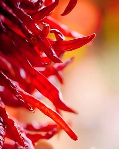 3.6K views | The ancient Chinese method of chili pepper cultivation! #1564 | Bee Shop | Facebook