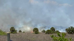 Multiple Lee County fire departments contain 35-acre brush fire off Corkscrew Road
