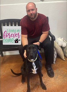 2.2K views · 18 reactions | Polk County Humane Society Bolivar Missouri on Reels | Facebook