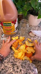 #ACV #orangepeel #medicine #diy diy | Anna Lindsay Sellers
