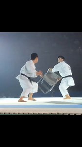 Shotokan #karate Techniques | Karate Science