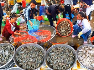 27K views · 841 reactions | The Wet Market Sells Freshwater Fish. Seafood, Crab, Snails #fishing #market #vegetables #Cambodia #phnompenh #river #rorn #food #thailand #indonesia | Ros Rorn - រស់ រ៉ន | Facebook