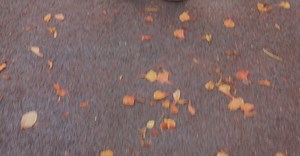 Video by Ketut Subiyanto on Pexels