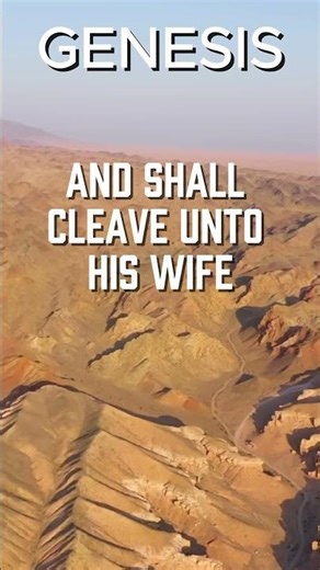 Your Daily Bible: One Flesh