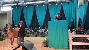 Filly by Inferno 66 just sold for $46,500!!! 🔥😈 | Inferno 66