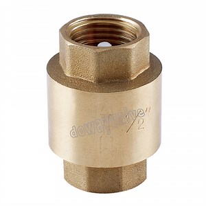 [Hot Item] Forged Brass Non Return Spring Check Valve Inline Plasted in Polymer
