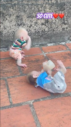 Baby monkeys drunk on milk🥛