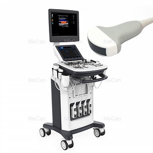 [Hot Item] Hospital Equipment Medical Echocardiography 3D/4D Echo 5D Portable Cw Pw Breast Color Doppler Ultrasound Machine