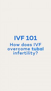 During IVF treatment eggs are removed from the ovaries & the embryo is later implanted directly into the uterus thereby bypassing the fallopian tubes. In fact, if tubes are damaged they are often removed prior to IVF! . . #ttccommunity #infertility #ttcjourney #infertilitysupport #ttcsupport #infertilityjourney #fertilitytips #fertilityjourney #ivfjourney #ivf #fertility #infertilitycommunity #ivfcommunity #iui #fertilitytreatment #tryingtoconceive #cnyfertility #family #ttccommunity | CNY Ferti