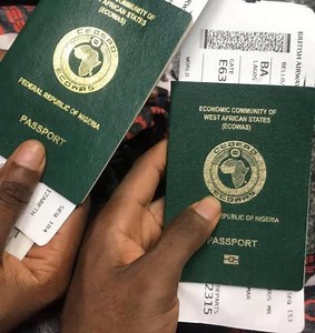 Nothing is working in Nigeria, but Japa is not solution — Aliu, Vanguard Analyst | Vanguard News