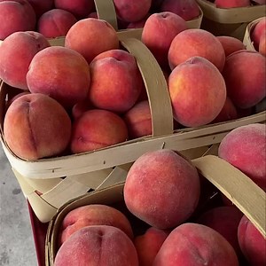 1.9K views · 111 reactions | Peaches, peaches, Peaches! Today’s varieties:  Red Top (yellow flesh)  White Nectar (white flesh) We also have blackberries, squash, bi-color corn, cantaloupe, and watermelon! Our Shed is open til 8 pm.  | Strawberry Hill USA Farm | Facebook