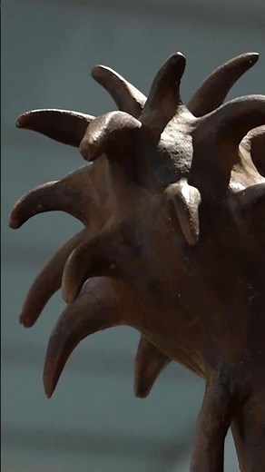 #SasolNewSignatures 2025 Winner | Juandré van Eck