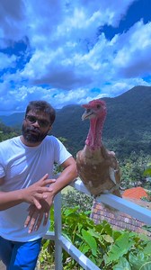 183K views · 2.3K reactions | #beautifulpoultry | Kerala Pet Farms | Facebook