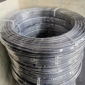 [Hot Item] Tube Coil 316/316L Seamless Stainless Steel Coiled Tubing