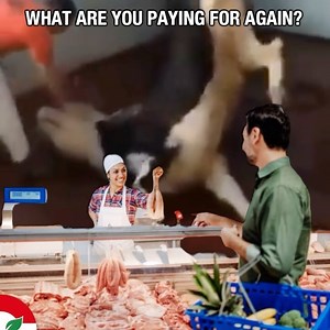 A morally bankrupt behavior in a morally bankrupt society is perceived as normal. Not participating in those morally bankrupt behaviors makes an extreme person out of you. 冷 ••• #veganfortheanimals #veganforjustice #vegan #meat #beef #steak #butchery #lebanesevegans #beirut #lebanon | Lebanese Vegans | Facebook