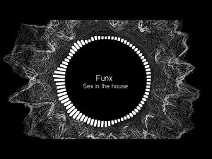Funx - Sex in the house