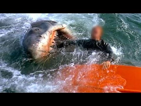 The Most BRUTAL Great White Attacks Of ALL-TIME