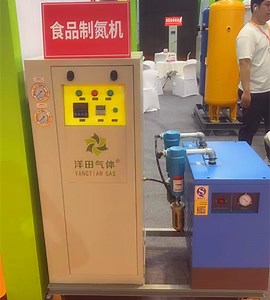 [Hot Item] Small Liquid Nitrogen Generator Psa N2 Generator for Sale