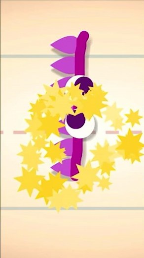 Endless Learning Academy | Practice Handwriting | Lowercase Letters | Meet l #shorts