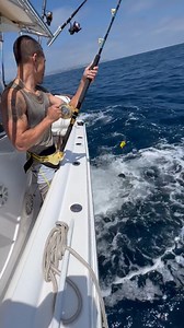 1.8M views · 8.4K reactions | Gonna have to replace that gaff! 麗  @rockenreel_sportfishing  Dana Point, CA #makoshark #sharks #sharkattack #california #socal #danapoint #fishingbooker | FishingBooker | Facebook