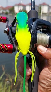 fishing frog lures Daiwa14 tatula #FishingReel #Fishing #มือใหม่ตีเหยื่อปลอม #หัดตกปลาช่อน | รอกตกปลามือสองญี่ปุ่น Shimano Daiwa Abu By น้าเอก