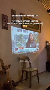 4.2K views · 111 reactions | Modofo projector lang malakas #MODOFO #projector | Kittycrafty | Facebook